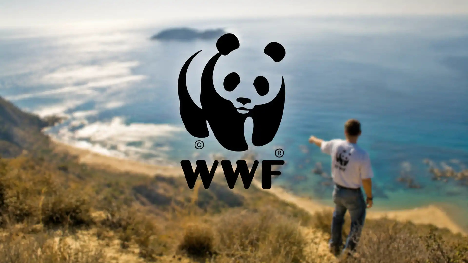 WWF